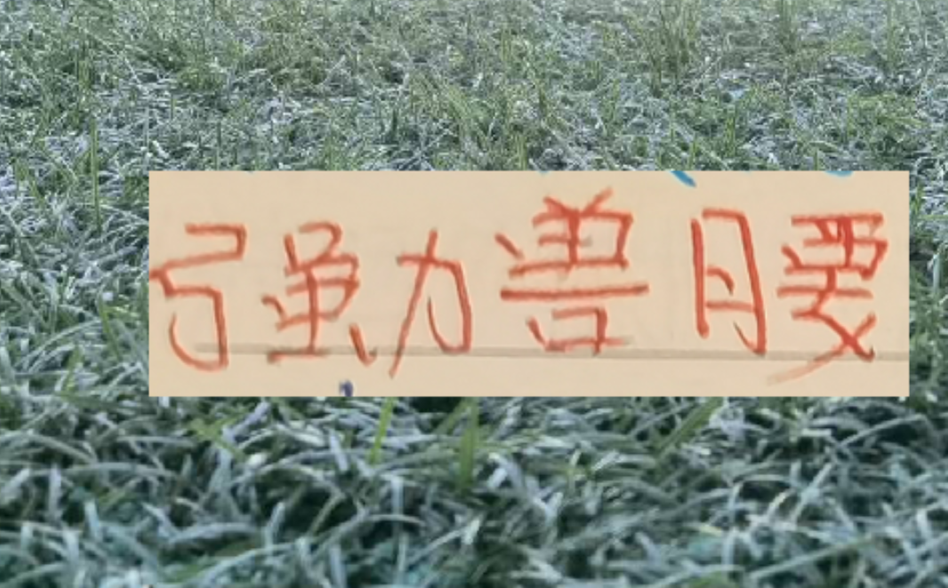 官方指定-中超前4的后腰 反而申花是国产的兽腰 其他球队都是洋货